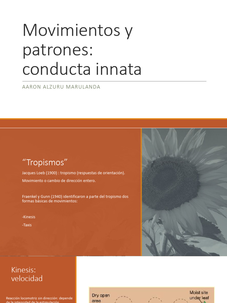 Movimientos y Patrones Conducta Innata | PDF | Comportamiento | Aprendizaje