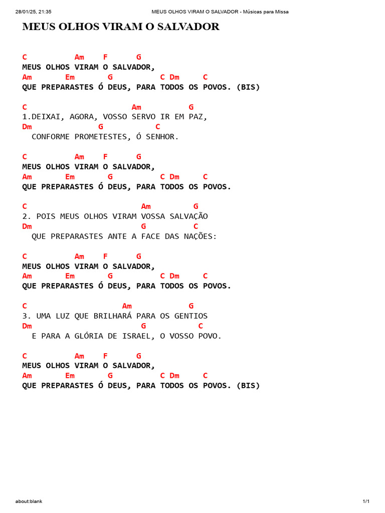 Meus Olhos Viram o Salvador | PDF