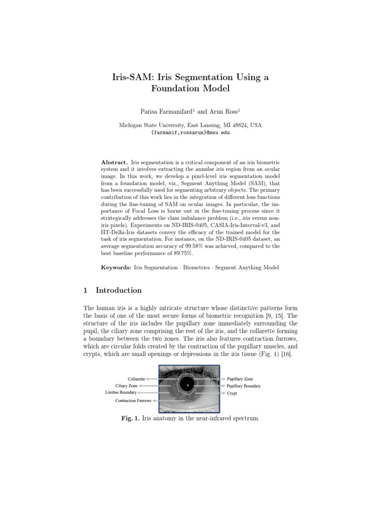 Iris Segmentation with SAM Model | PDF | Image Segmentation | Applied ...