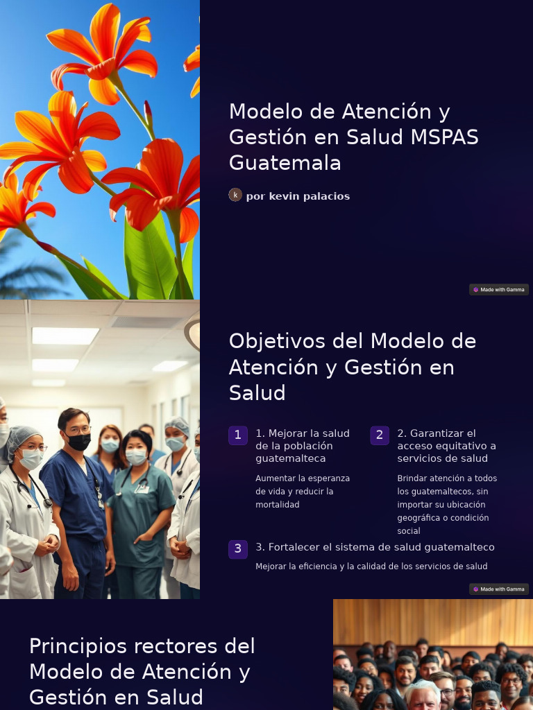 Modelo de Atención y Gestión en Salud Guatemala | PDF | Cuidado de la ...