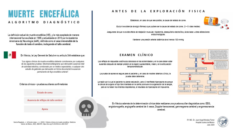 Diagnóstico de Muerte Encefálica en México | PDF | Muerte | Medicina