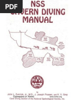 Download Divi by jmvictoria6870 SN85975796 doc pdf