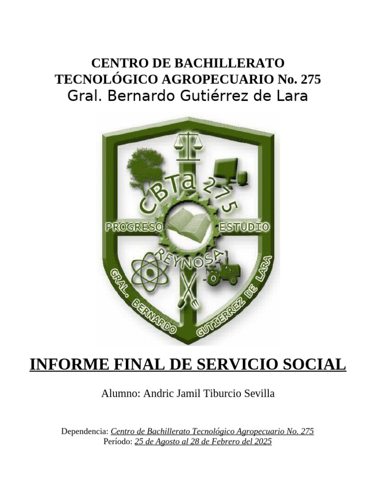 08 Informe Final de Servicio Social Con Fotos | PDF