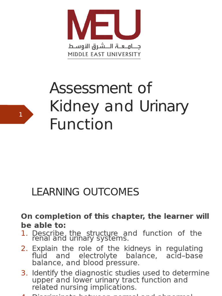 Kidney and Urinary Function Assessment | PDF | Kidney | Urinary System