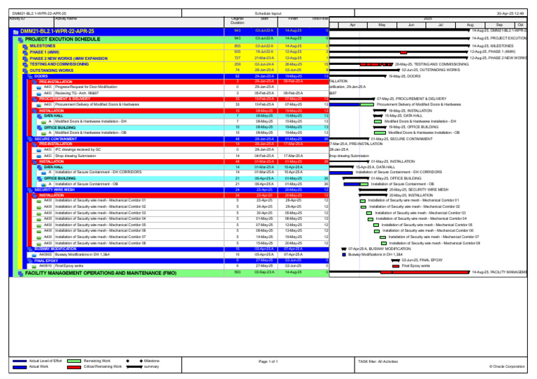 Project Execution Schedule Overview | PDF