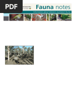 Emu Behavior and Adaptations Overview | PDF | Birds | Zoology