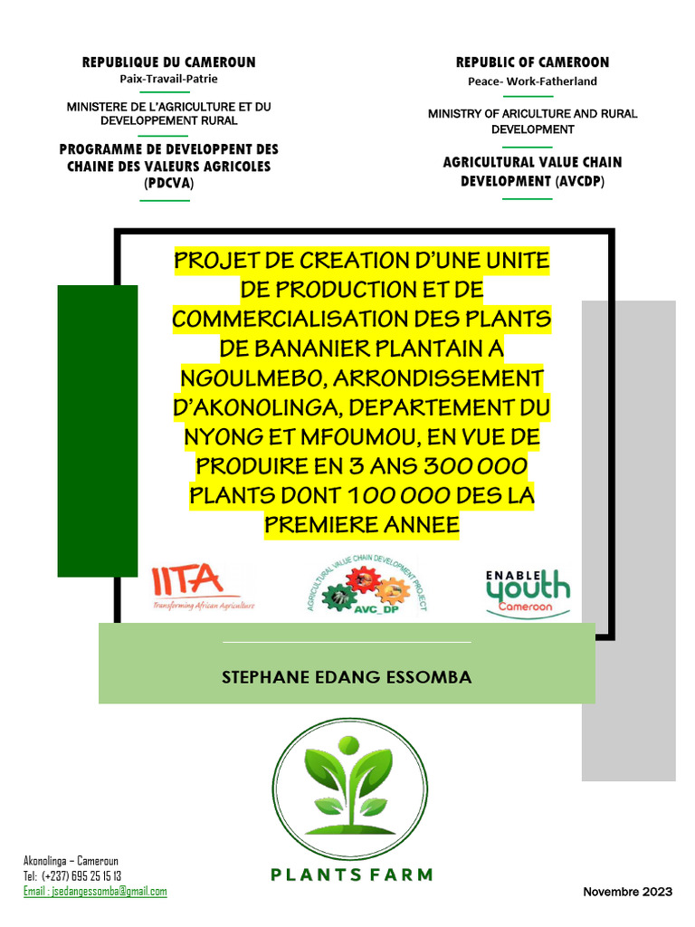 Projet de Production de Plants de Bananier | PDF | Gestion stratégique ...
