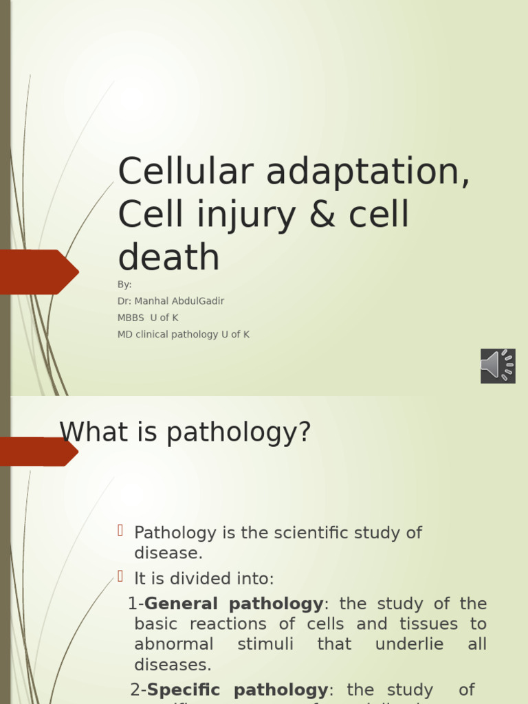 Cell Injury & Cell Death | PDF | Necrosis | Apoptosis