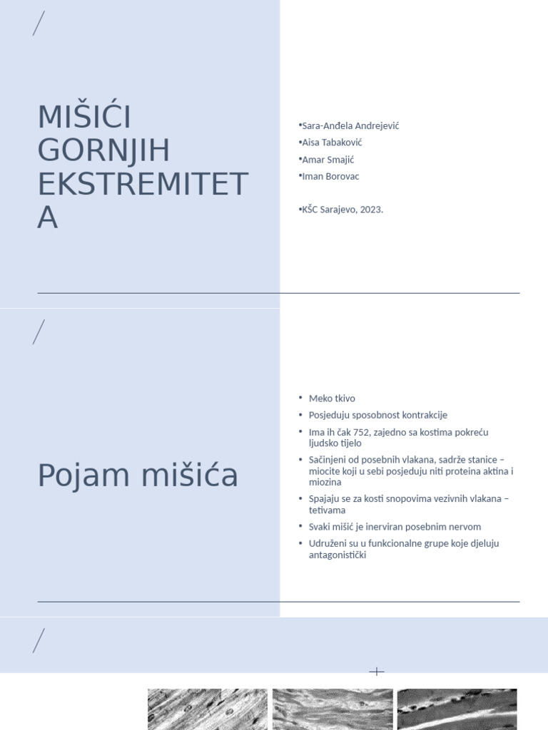 MIŠIĆI Smaja | PDF