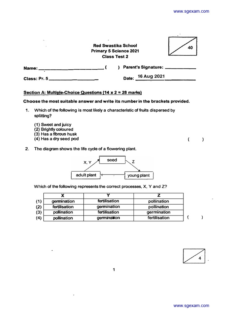 P5 Science Class Test 2 Answers | PDF | Organisms | Plant Morphology