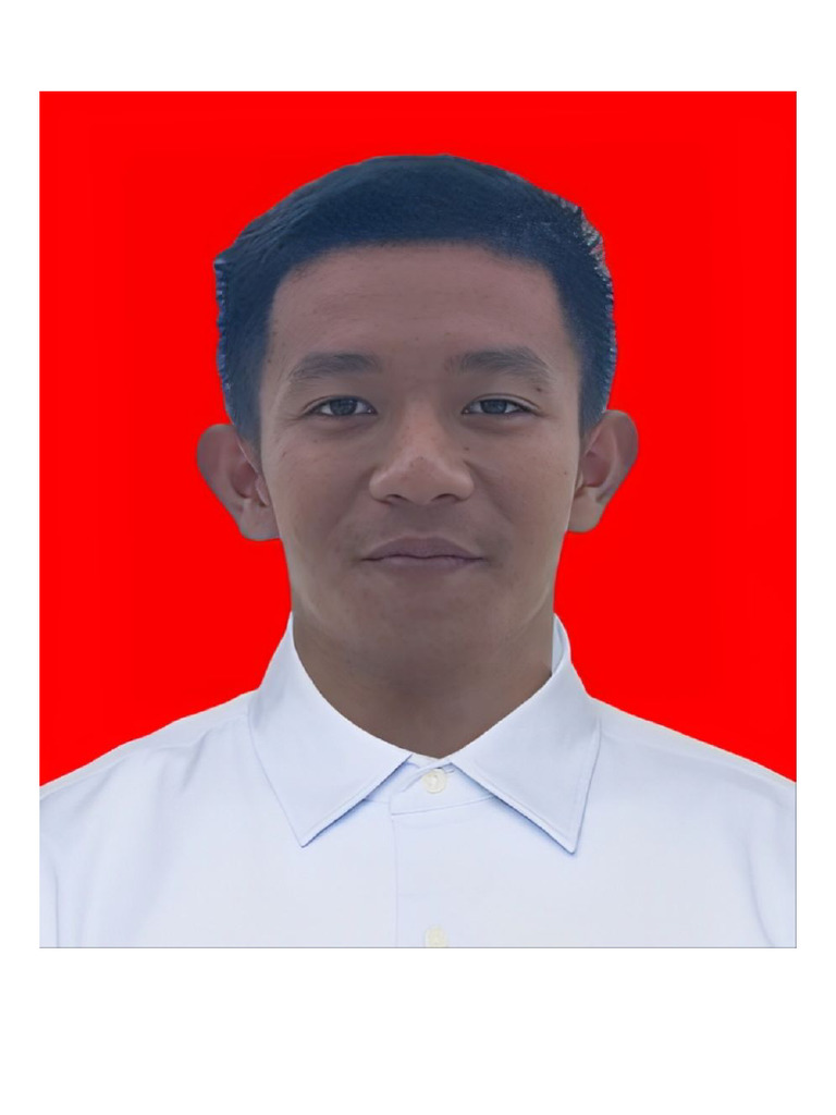 Pas Foto | PDF