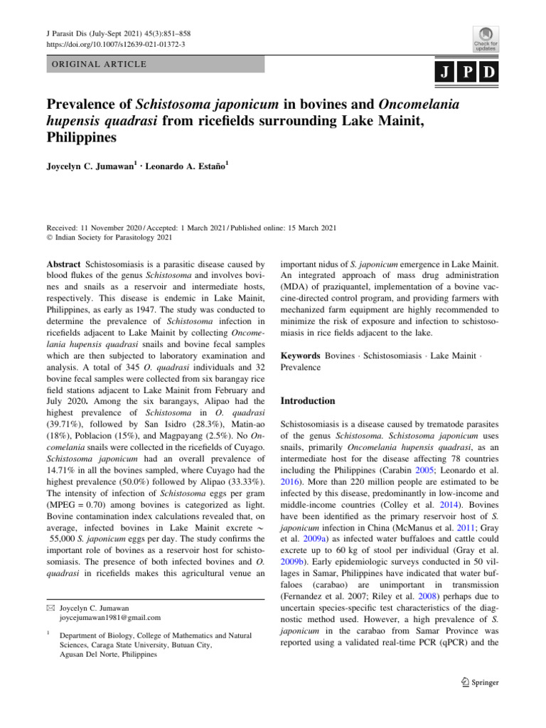 Schistosoma japonicum in Lake Mainit Bovine | PDF