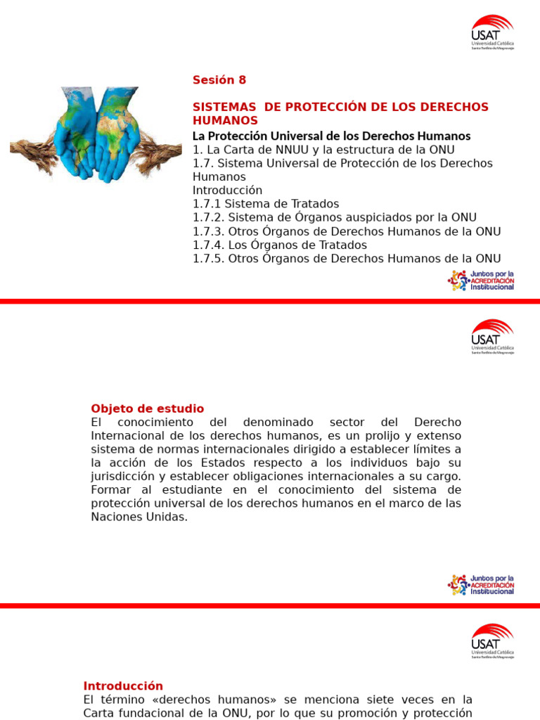 Sistema de Protección de Derechos Humanos | PDF | Naciones Unidas ...