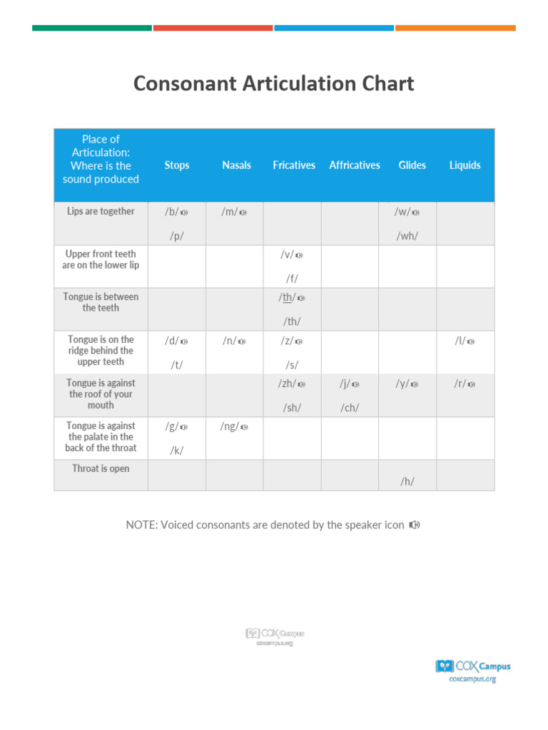 Consonant Articulation and Classification | PDF | Human Voice | Phonetics