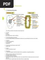 Download Biology notes for O level by Ahmad Barrun Nidhom SN8598629 doc pdf