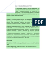 O QUE É EDUCAÇÃO AMBIENTAL