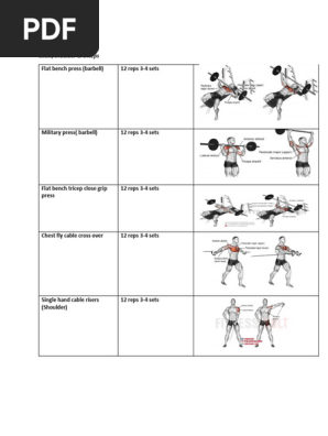 12 Week Dumbbell Workout Plan Pdf: Ultimate Strength Guide