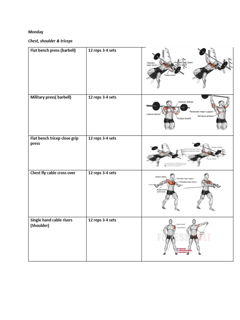 12-Week Body Transformation Workout Plan | PDF | Weight Training ...