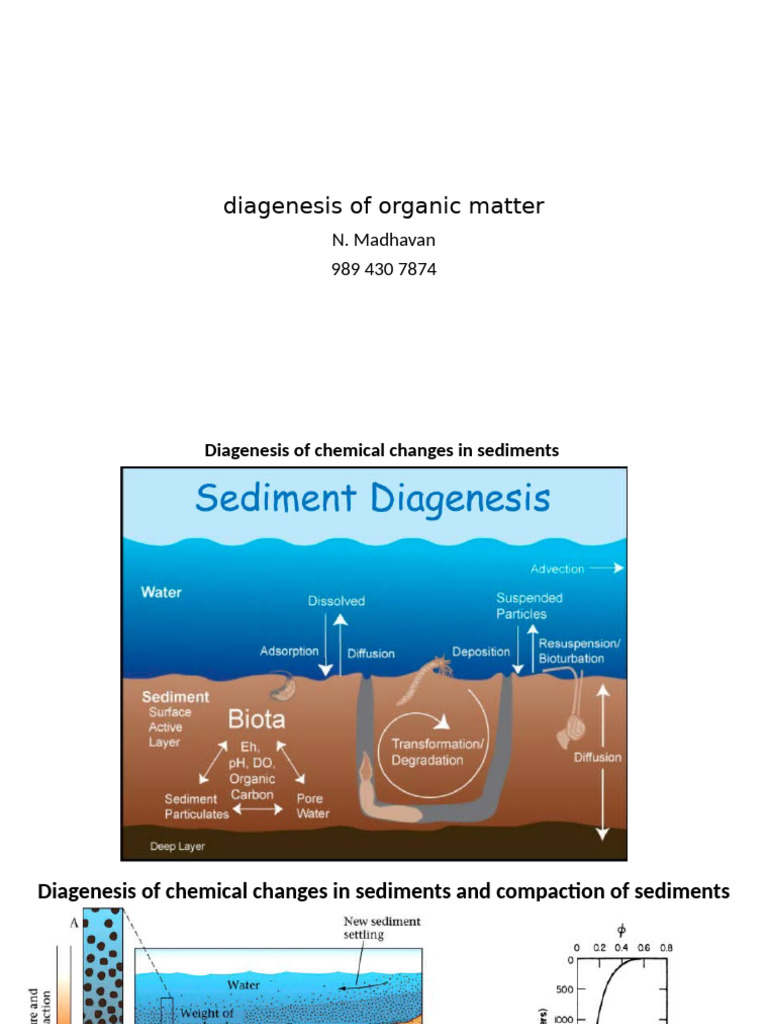 2024 16 Diagenesis of Organic Matter | PDF | Sedimentary Rock | Shale