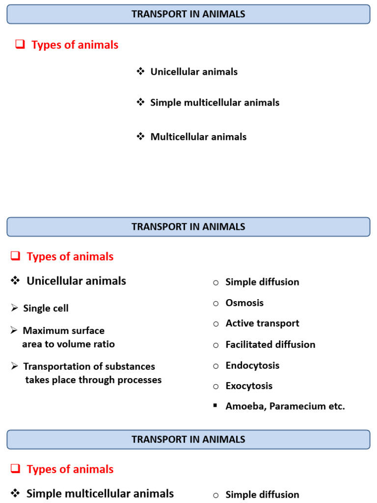 Animal Transport Systems Explained | PDF | White Blood Cell | Lymphatic ...