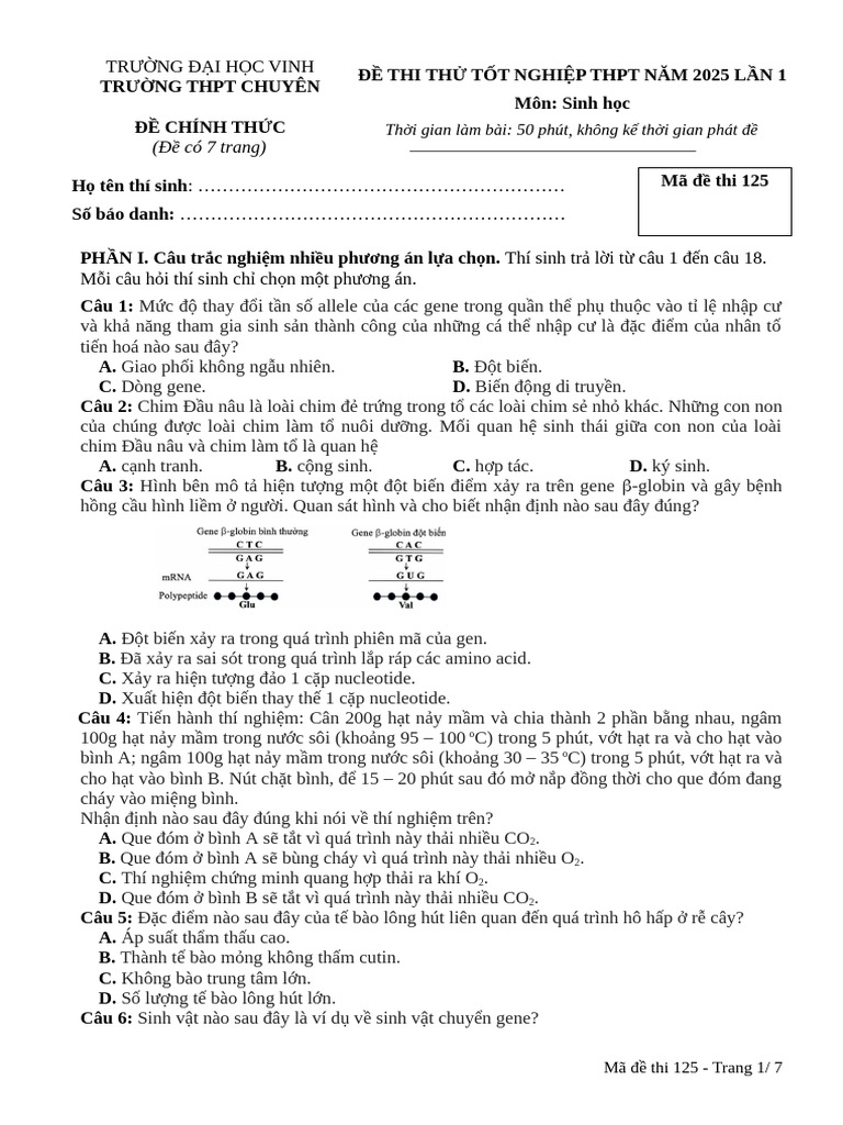 Made 125 | PDF