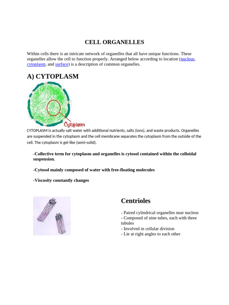 Overview of Cell Organelles and Functions | PDF | Cell (Biology ...