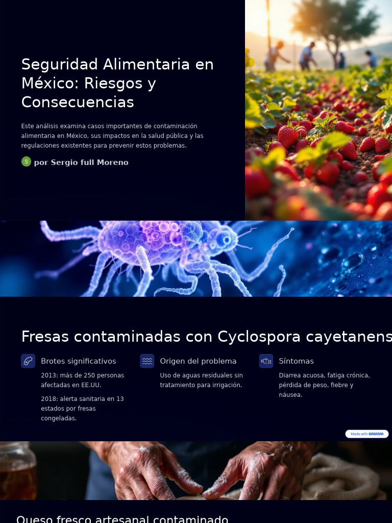 Contaminaci n Alimentaria En M xico Riesgos PDF Alimentos Agua