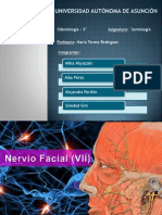 Semiología del nervio facial