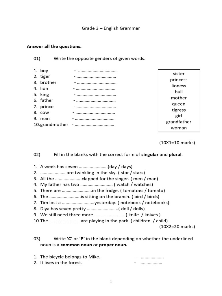Grade 3 English Grammar Worksheet | PDF | Language Mechanics