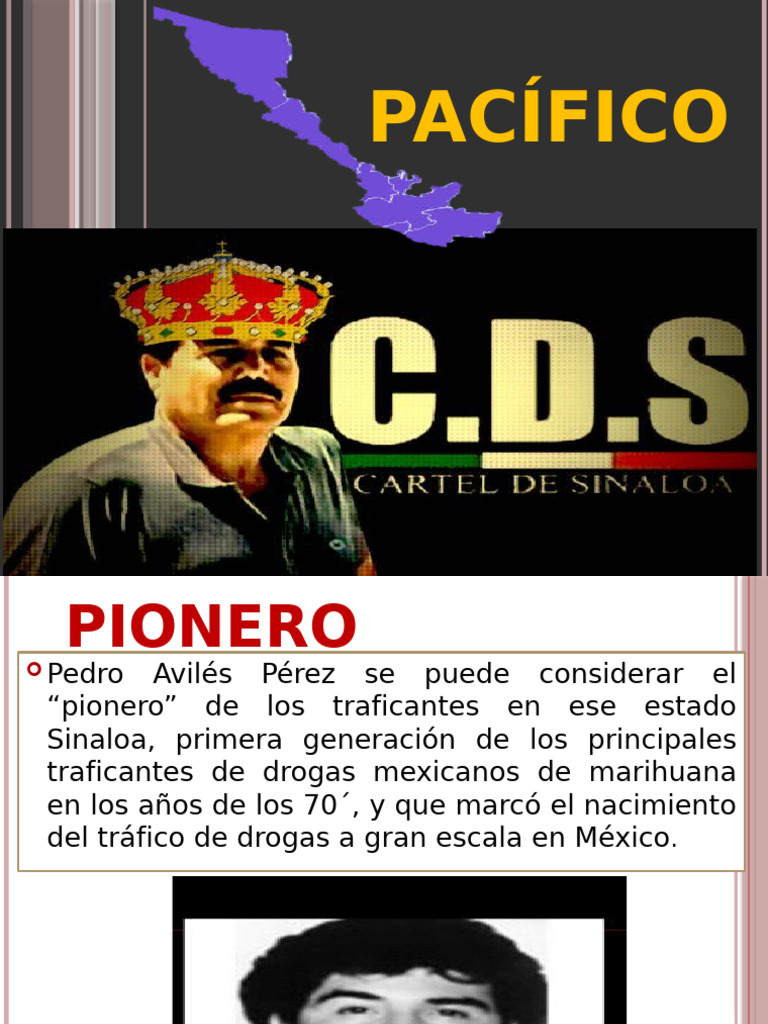 Evolución del Cártel de Sinaloa | PDF | Cartel de Sinaloa | Comercio ...