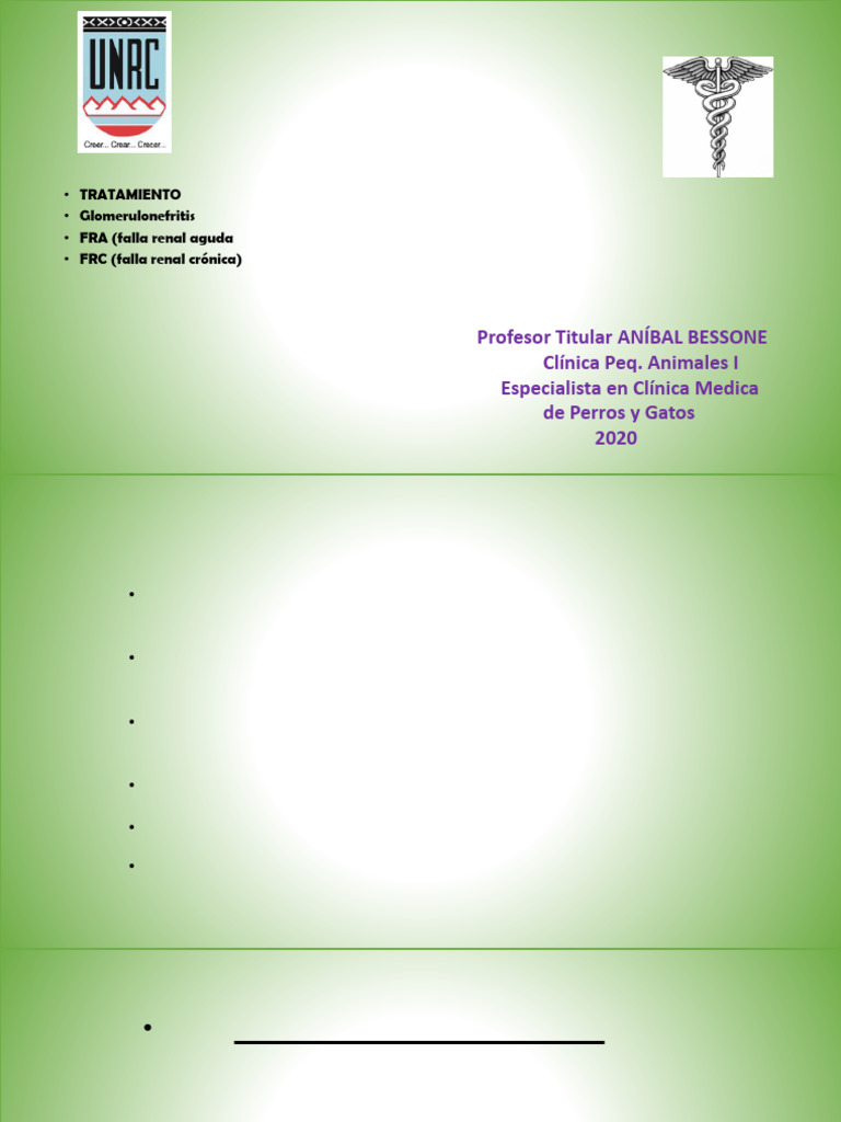 Bessone 2020 Tratamiento GN FRA y FRC | PDF | Medicina CLINICA ...