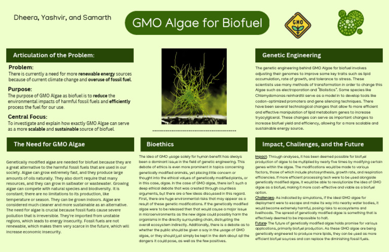 GMO Algae For Biofuel | PDF | Genetically Modified Organism | Genetic ...