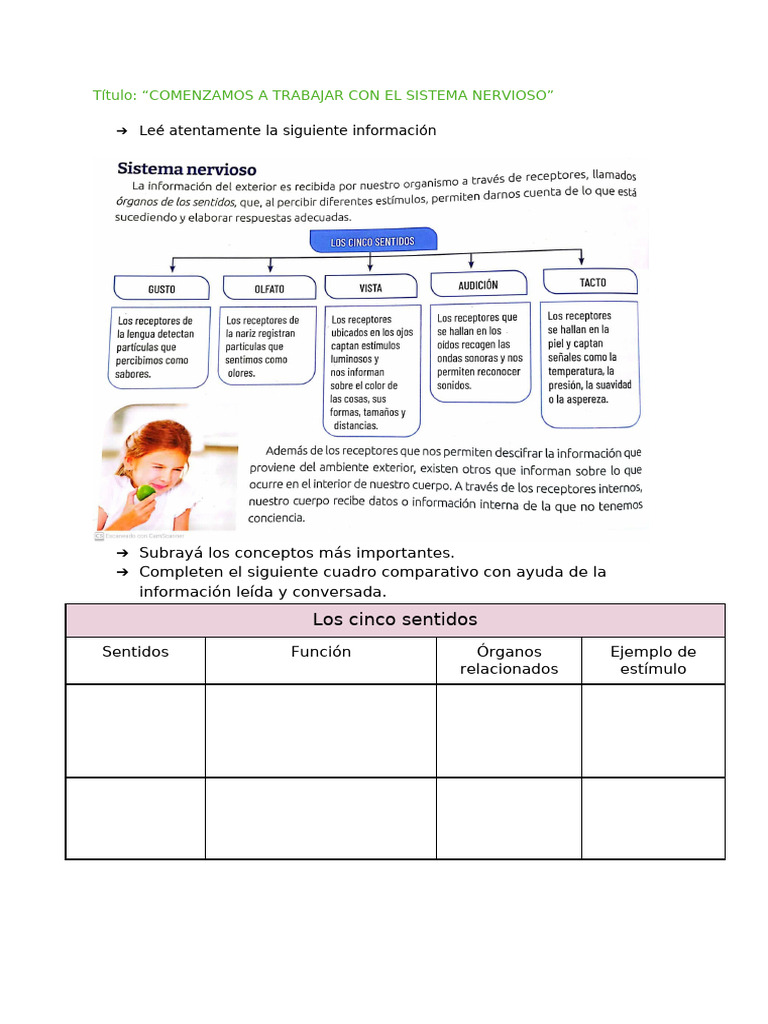 Unidad 1 - La Organización Del Cuerpo Humano | PDF