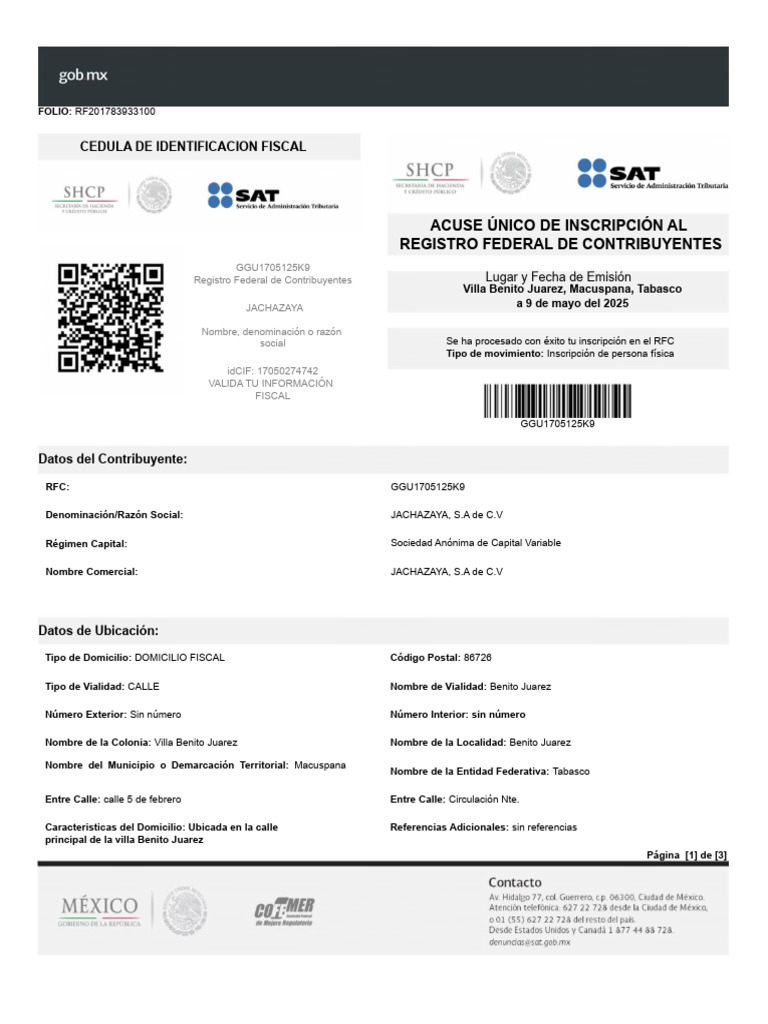 Ejemplo de Cedula de Identificacion Fiscal | PDF