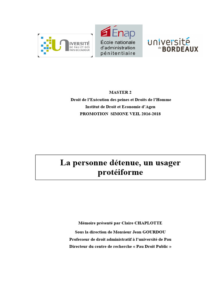 Usager pénitentiaire : droits et réinsertion | PDF | Prison ...