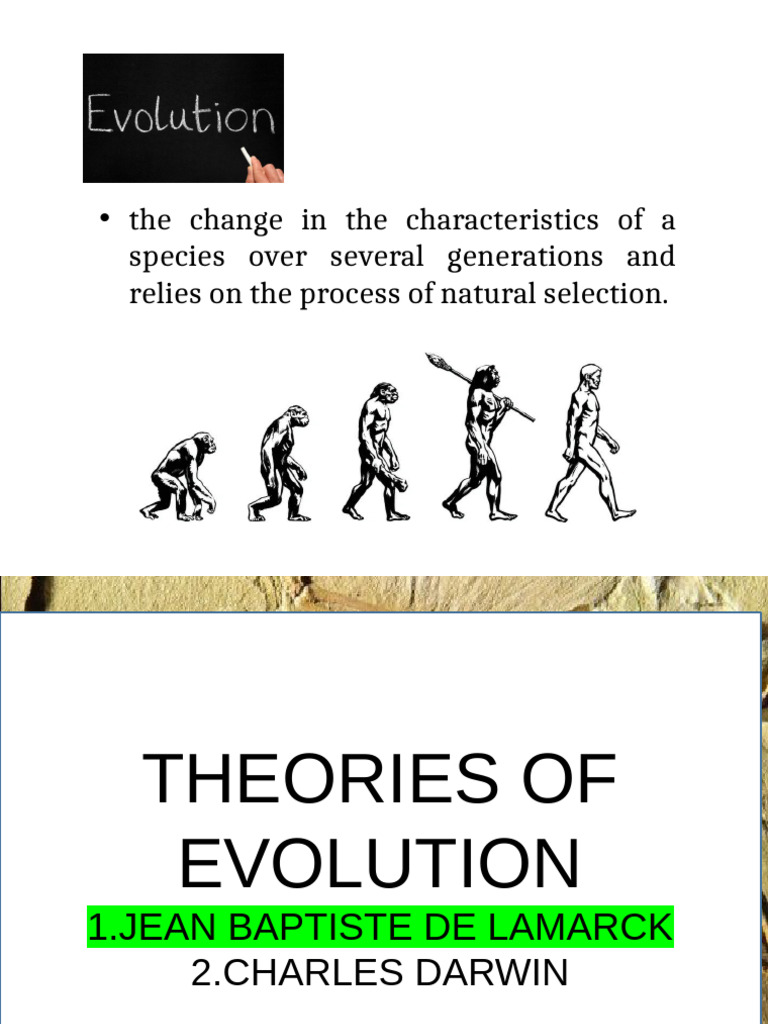 Evolution-students-copy | PDF | Natural Selection | Evolution