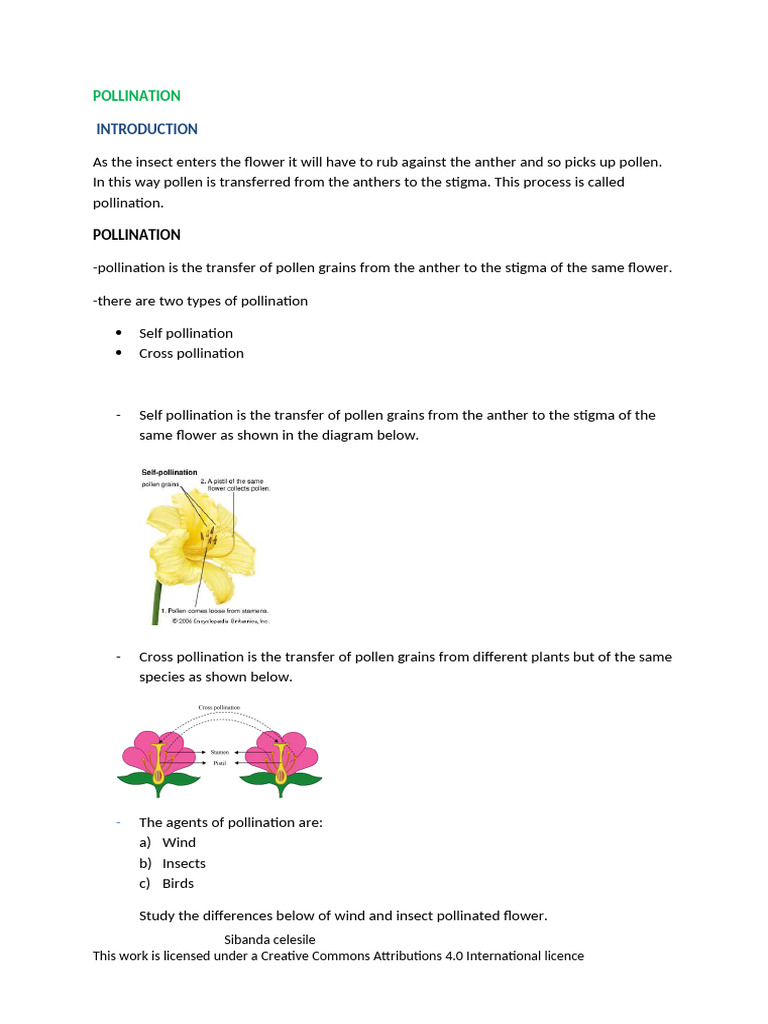 Understanding Pollination Types and Agents | PDF | Flowers | Pollination
