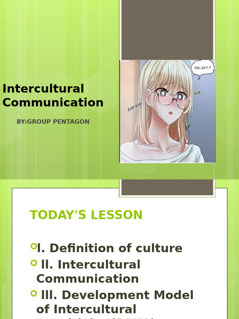 Intercultural Communication Insights | PDF | Cross Cultural ...