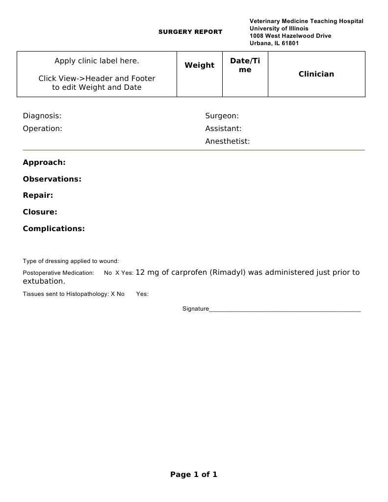 Veterinary Surgery Report Template | PDF | Self-Improvement | Wellness