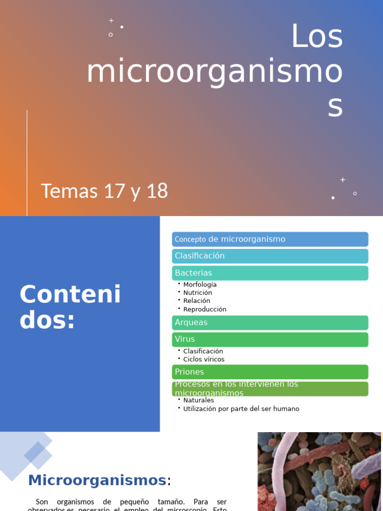 Clasificación y funciones de microorganismos | PDF | Virus | Las bacterias
