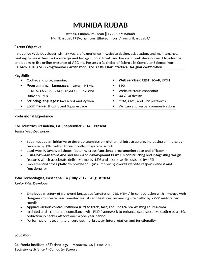 Web Developer Resume Sample MSWord Download | PDF | Web Development ...