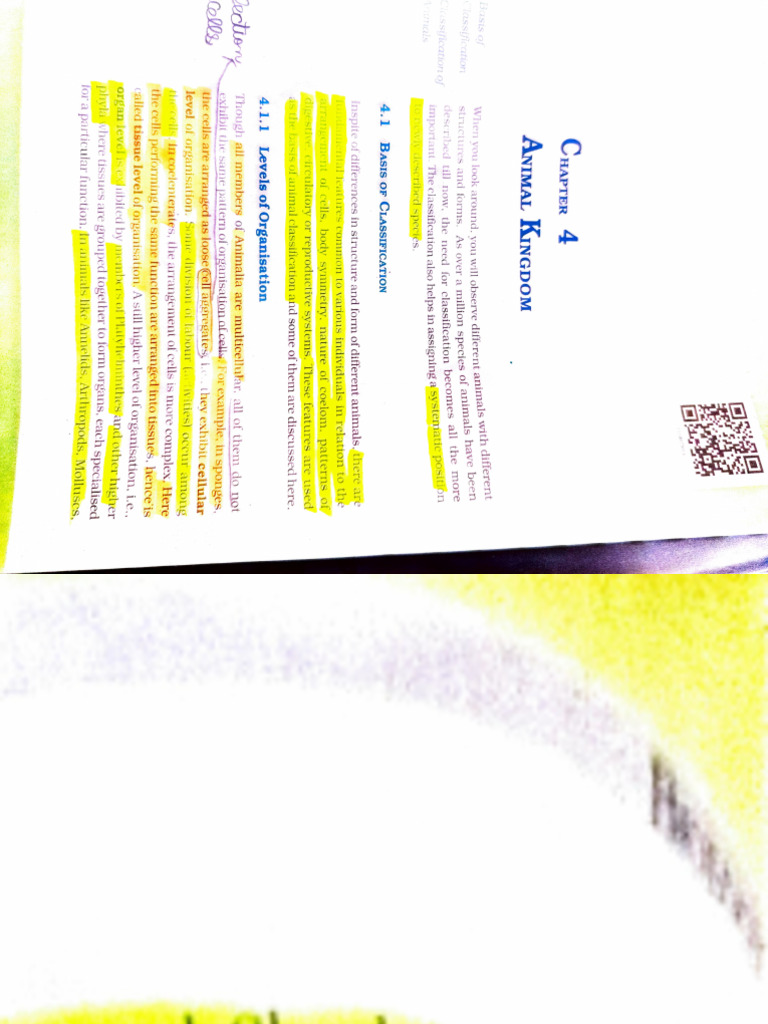 Adobe Scan May 11, 2025 | PDF