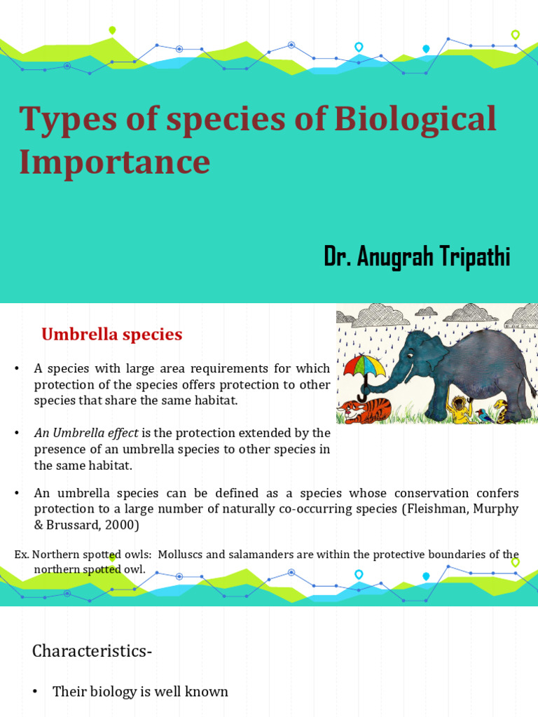 Types of Species and Their Importance | PDF | Endangered Species ...