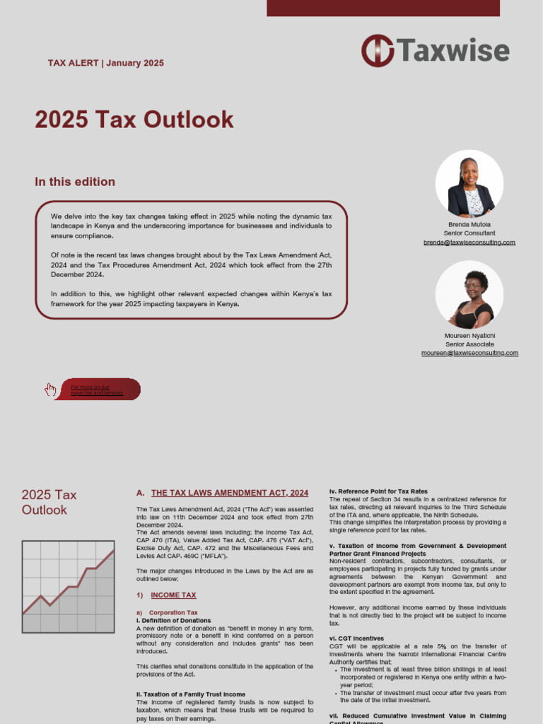 Blog 2025 Tax Outlook | PDF | Taxes | Value Added Tax
