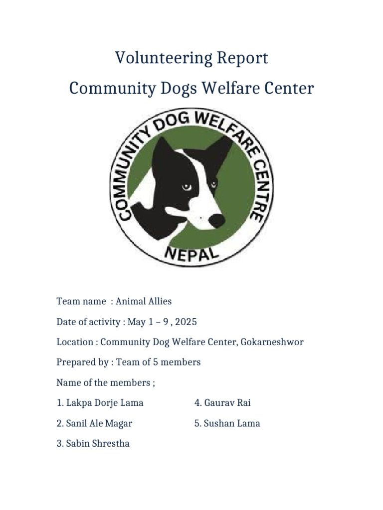 Volunteering Dog Shelter Report With Cover | PDF | Dogs | Behaviorism