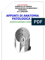 Anatomia Patologica II
