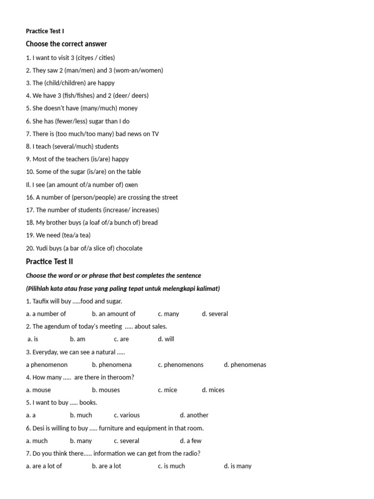 English Grammar Practice Test | PDF