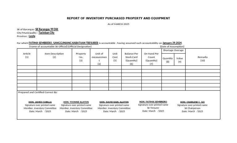 Inventory Report for SK Barangay 99 | PDF