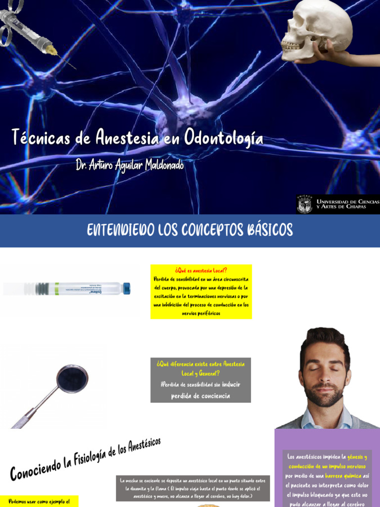 Técnicas de Anestesia en Odontología | PDF | Nariz humana | Anatomía de ...