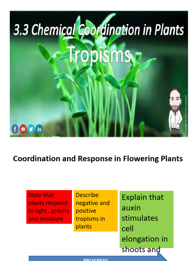 Chemical Coordination in Plants | PDF | Auxin | Biology